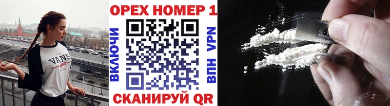 Купить закладки  Злынка  COCAIN 98% 