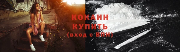 дживик Зеленокумск