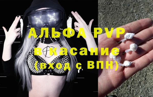 ешки Иннополис