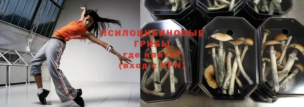 ешки Иннополис