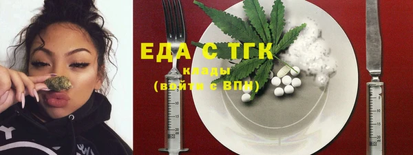 прущие грибы Инта