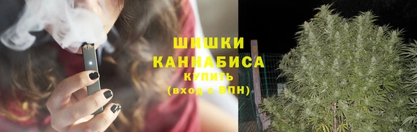 гидра Зеленодольск