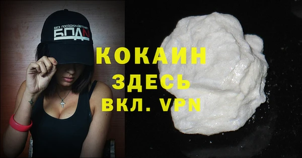 кокс Инсар