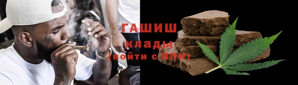 прущие грибы Инта