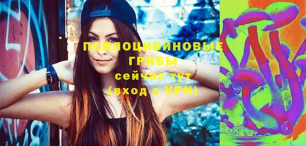 ешки Иннополис