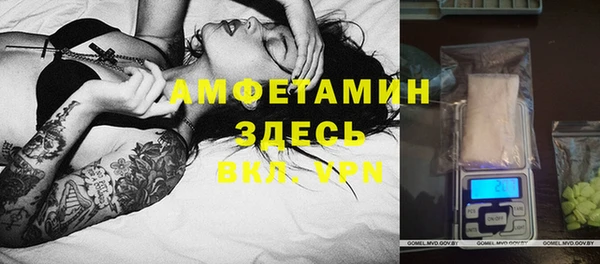 гидра Зеленодольск