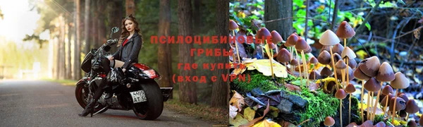 соль ск Зерноград