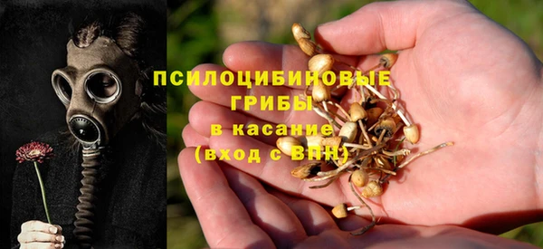 ешки Иннополис