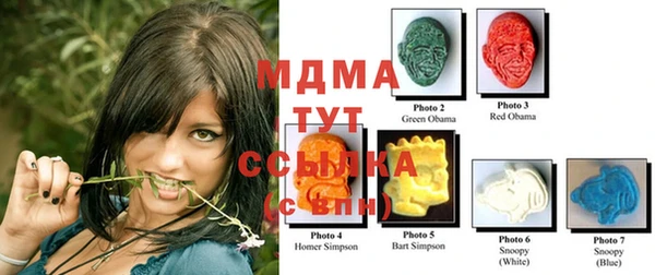 прущие грибы Инта