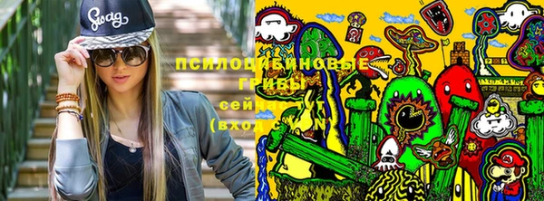 соль ск Зерноград
