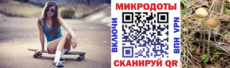 Галлюциногенные грибы GOLDEN TEACHER  Купить где  Злынка 